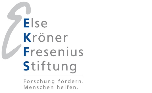 logo ekfs