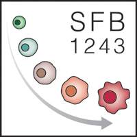 sfb 1243 logo